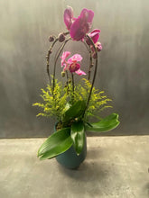 Load image into Gallery viewer, Pink Orchid Arch Trio (PRE-ORDER REQUIRED)