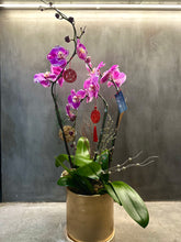 Load image into Gallery viewer, Pink Orchid Trio (3 Stem)

