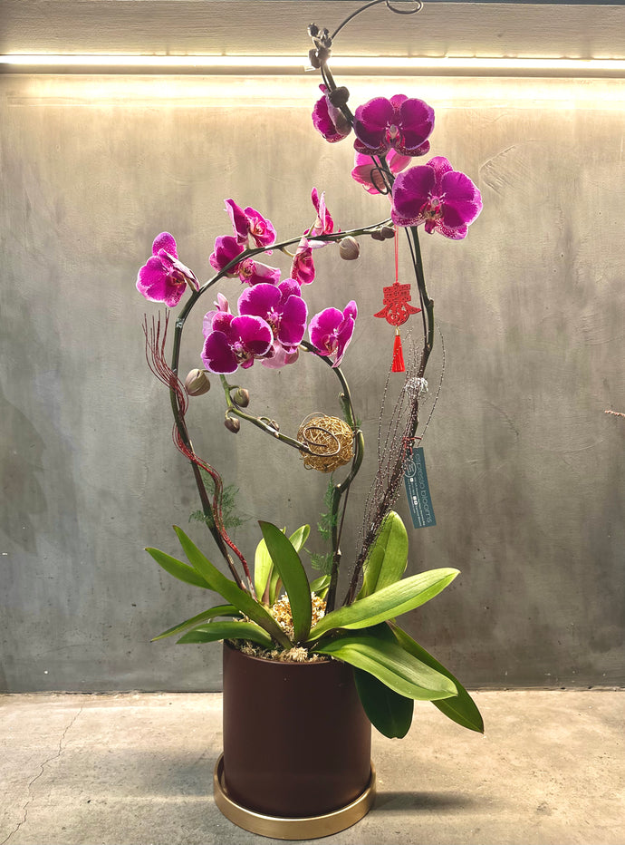 Pink Orchid Trio(3 Stem)