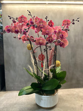 Load image into Gallery viewer, Coral Pink Orchid Centerpiece (8 Stem)
