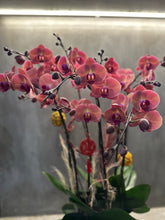 Load image into Gallery viewer, Coral Pink Orchid Centerpiece (8 Stem)

