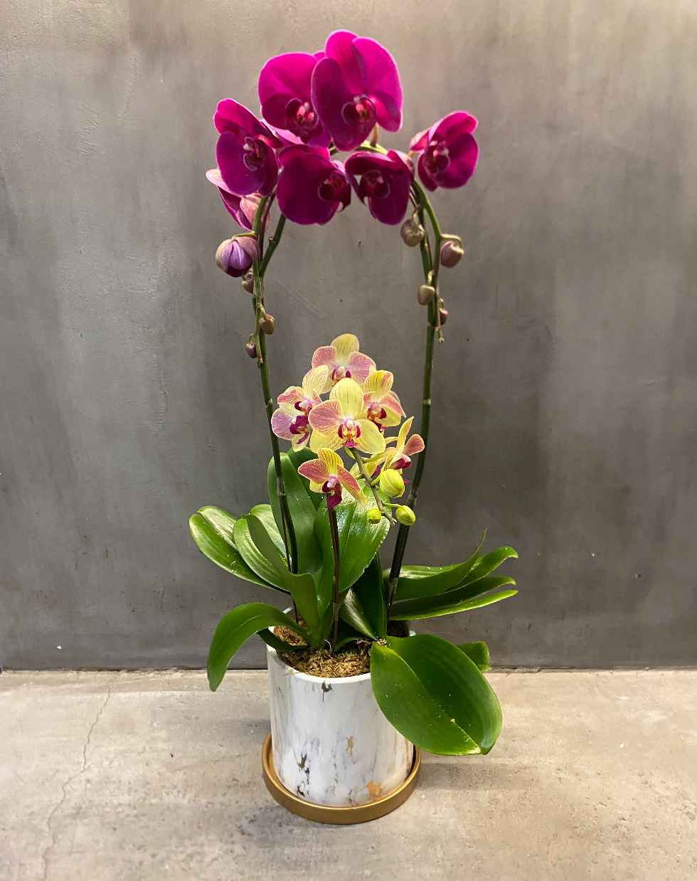 Pink Yellow Orchid Arch Trio (PRE-ORDER REQUIRED)