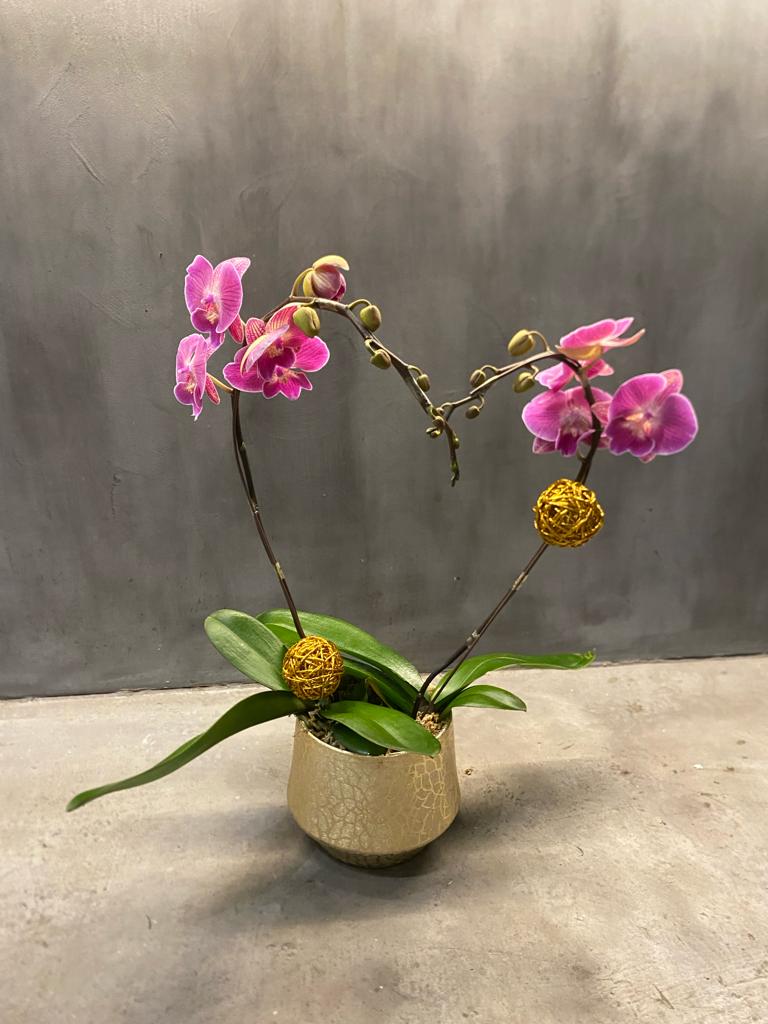 Pink Orchid Heart Duo (PRE-ORDER REQUIRED)