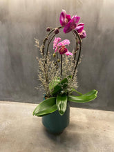 Load image into Gallery viewer, Pink Orchid Arch Trio (PRE-ORDER REQUIRED)
