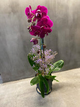 Load image into Gallery viewer, Pink Orchid Duo (PRE-ORDER REQUIRED)
