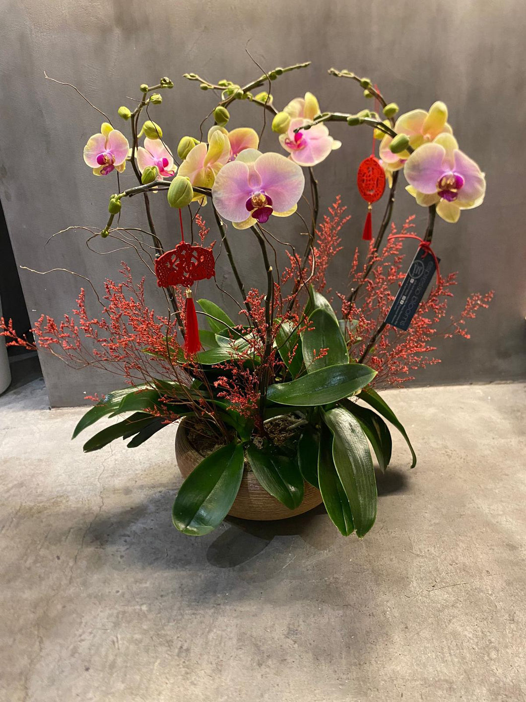 6 Stem Orchid Centerpiece (PRE-ORDER REQUIRED)