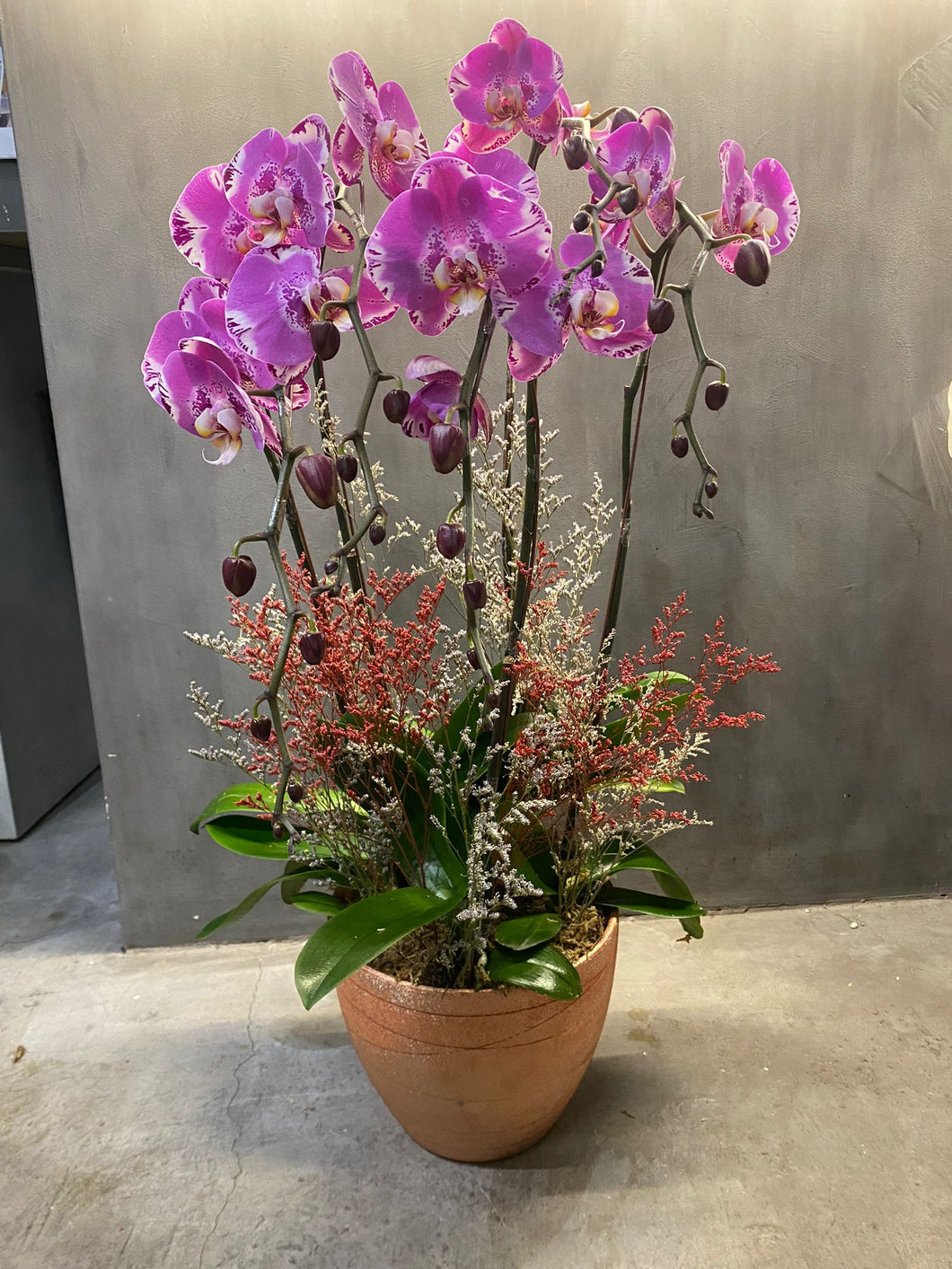 5 Stem Orchid Centerpiece (PRE-ORDER REQUIRED)