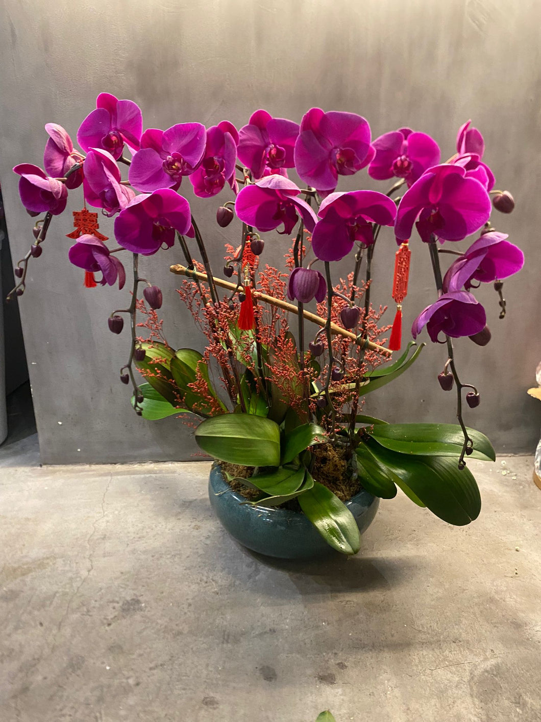 6 Stems Pink Orchid Centerpiece (PRE-ORDER REQUIRED)