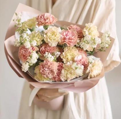 Bloom Pink Carnations